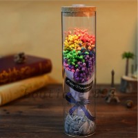 Beauty Flower LED Light in Glass Lampshade Party Mother's Valentine's Day New   302845298833